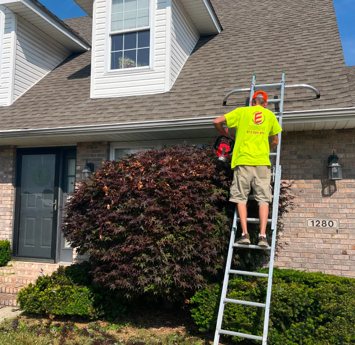 pruning edge trimming